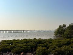 -宝安西湾红树林湿地公园