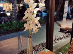 -金枝玉叶上海人家食府(三里河店)