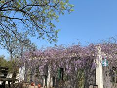 -合肥野生动物园