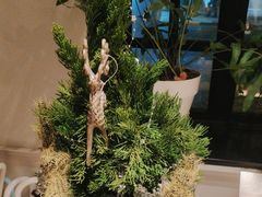 -一尺花园(安和花园店)