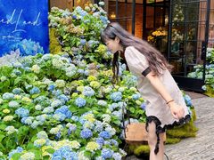 -T館·花园艺术餐厅