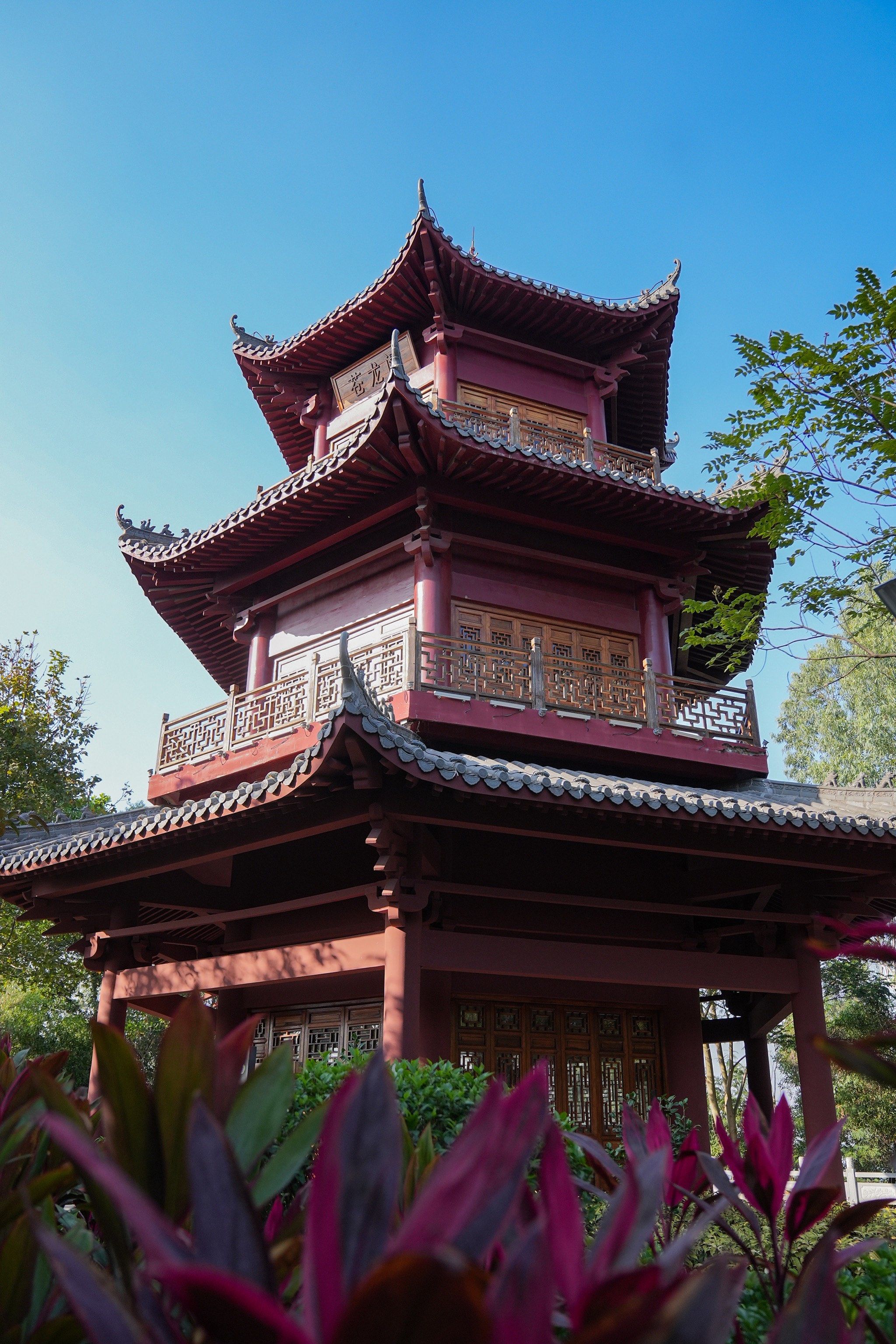 企龙山公园——宝安版"绿野仙踪"