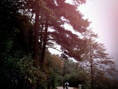 -敬亭山风景名胜区