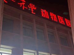 -派美特宠物医院·核磁CT·骨科肿瘤·疑难转诊(沈农禾丰店)