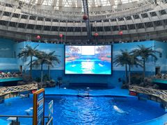 -海合安成都极地海洋公园