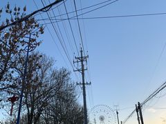 -特克斯八卦城