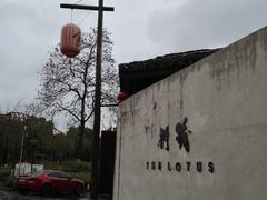 -几荷·恰似故人来(秀水广场店)