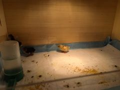 -伊顿幼儿园(济南大地锐城校区)