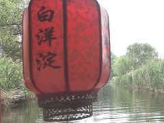 -白洋淀景区