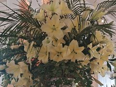 -春暖花开(西溪店)