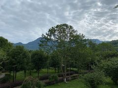 -雅安楠水阁温泉酒店