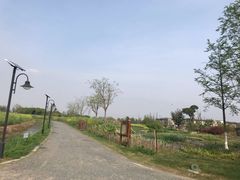 -田园东方蜜桃村的田野营地