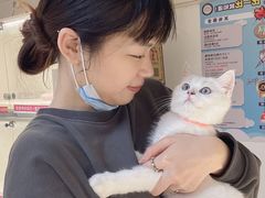 -lincat·猫舍(广州店)