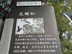 -神农山景区