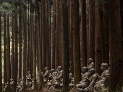 -武陵山森林公园