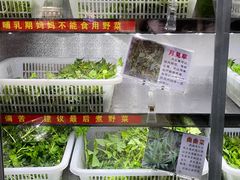 -黔府豆米火锅野菜馆(南马店)