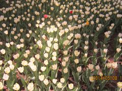 壮观-长春公园(普阳街道)