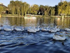 -西安汉城湖景区