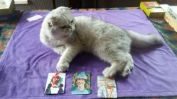 -花药坊·花藥坊-芳香疗法工作室