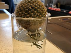 -% Arabica(京都东山店)