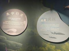-中国湿地博物馆