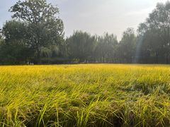 -北坞公园