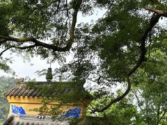 -涂山寺素食餐厅