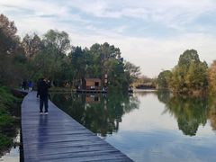 -西溪国家湿地公园