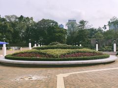 -九龙公园