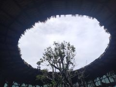 -The Ring Pavilion 魔幻森林