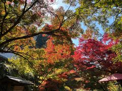 -三千院