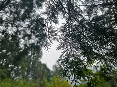 -北京十三陵国家森林公园蟒山景区