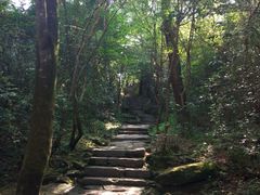 -武夷山风景名胜区-虎啸岩