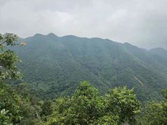 -鼎湖山风景区