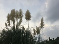 -南京市江宁方山