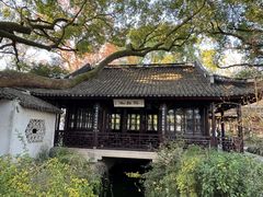 -上海醉白池公园