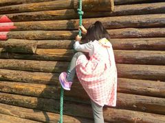 -广东茂名森林公园