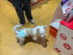 -MARSMART PETS火星宠物超市(1733店)