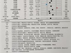 -凯瑞希宠物医院·狂犬免疫·微创·皮肤科