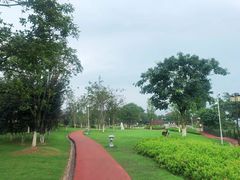 -铁山坪森林公园