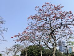 -万绿园