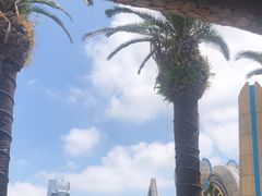 -上海海昌海洋公园