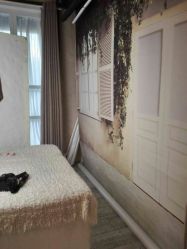 -星豆豆儿童摄影(南郊太白南路店)