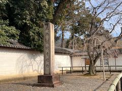 -醍醐寺