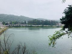-墨尔本皇家植物园
