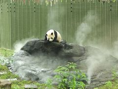 -成都动物园