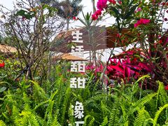 -兴隆华侨农场