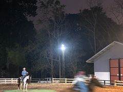 -清迈夜间动物园