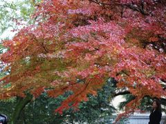 -西安市纺织公园