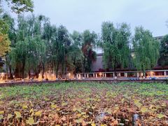-四川大学(望江校区)